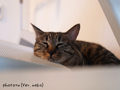 200801291_marked.jpg